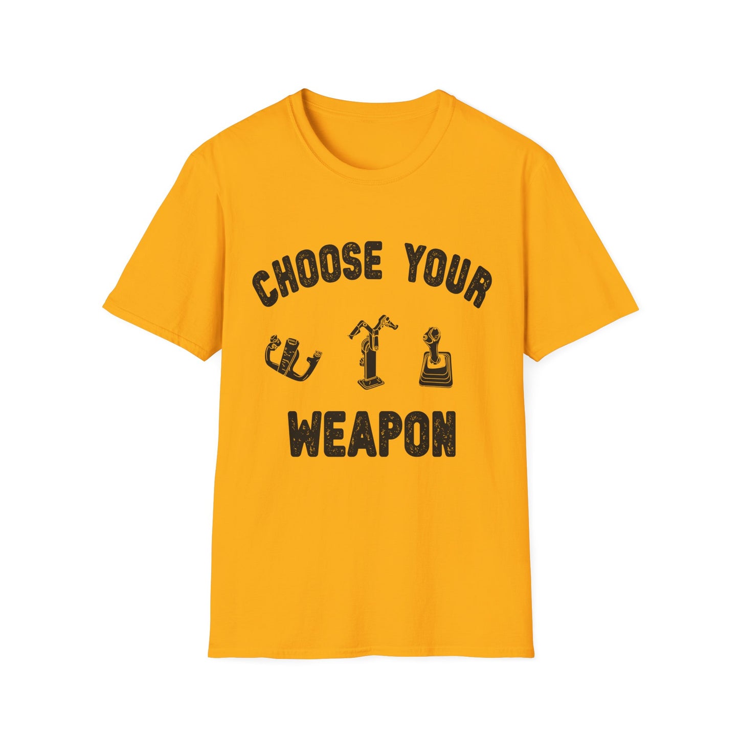 Choose Your Weapon - to fly the plane!