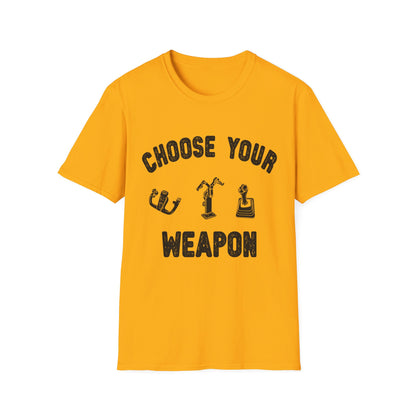 Choose Your Weapon - to fly the plane!