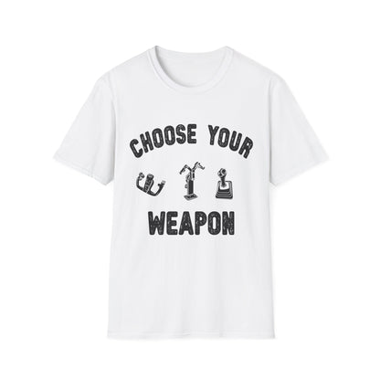 Choose Your Weapon - to fly the plane!