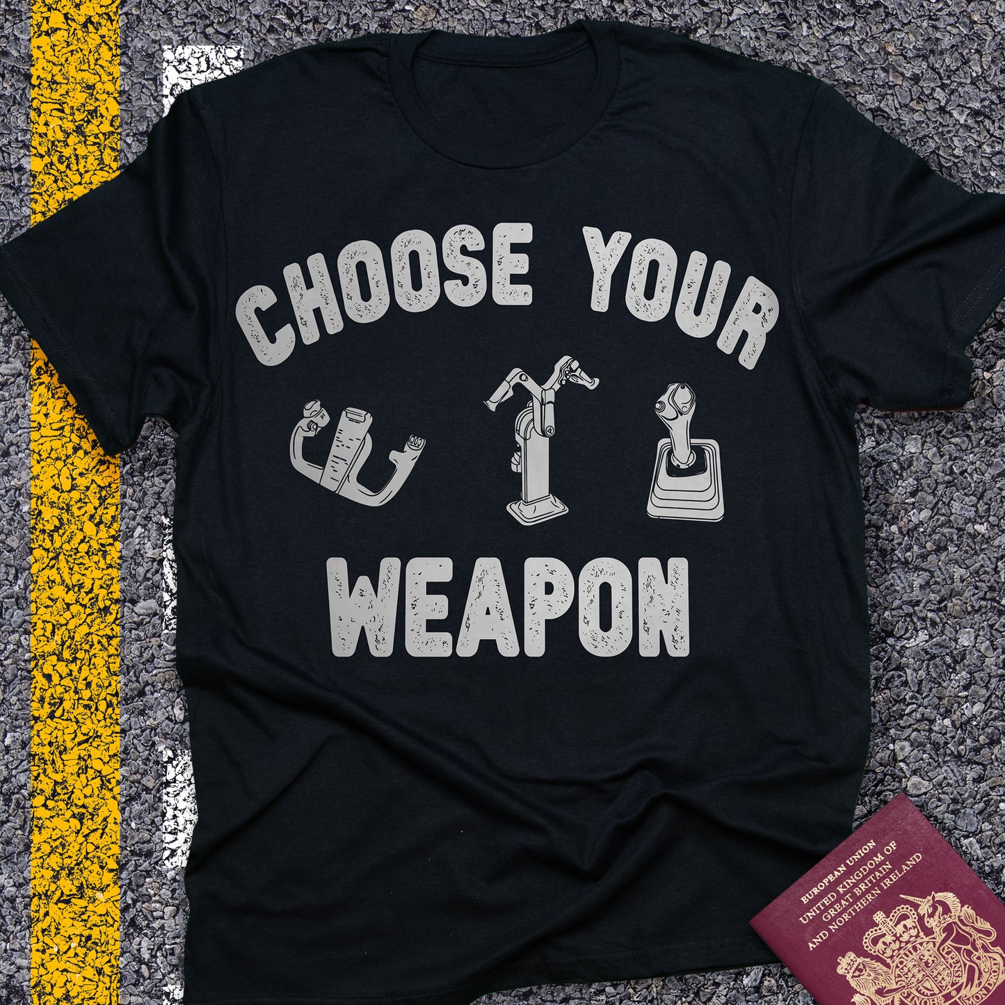 Choose Your Weapon - to fly the plane!