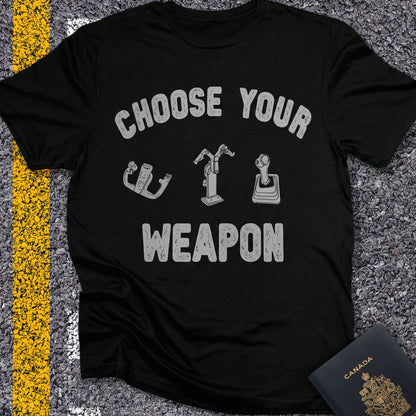 Choose Your Weapon - to fly the plane!