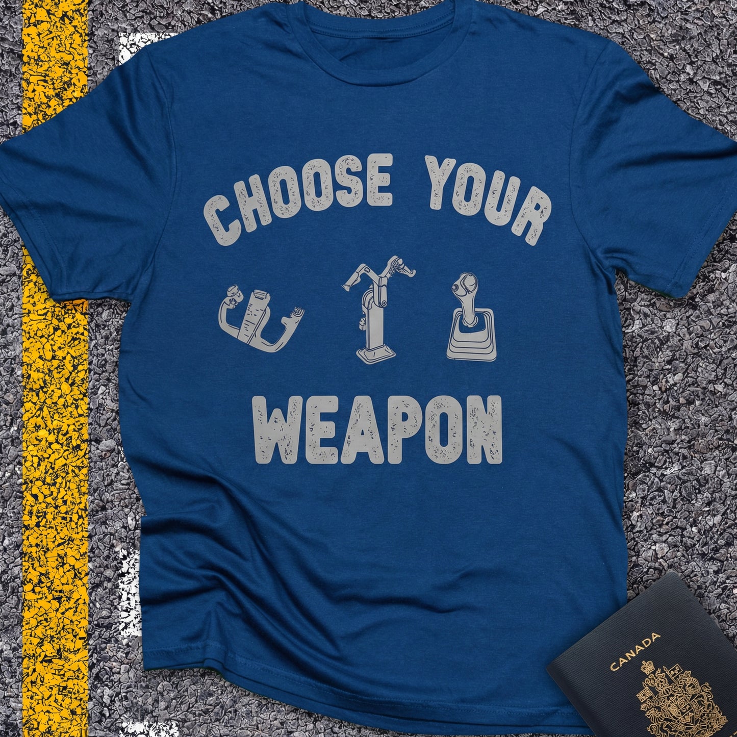 Choose Your Weapon - to fly the plane!