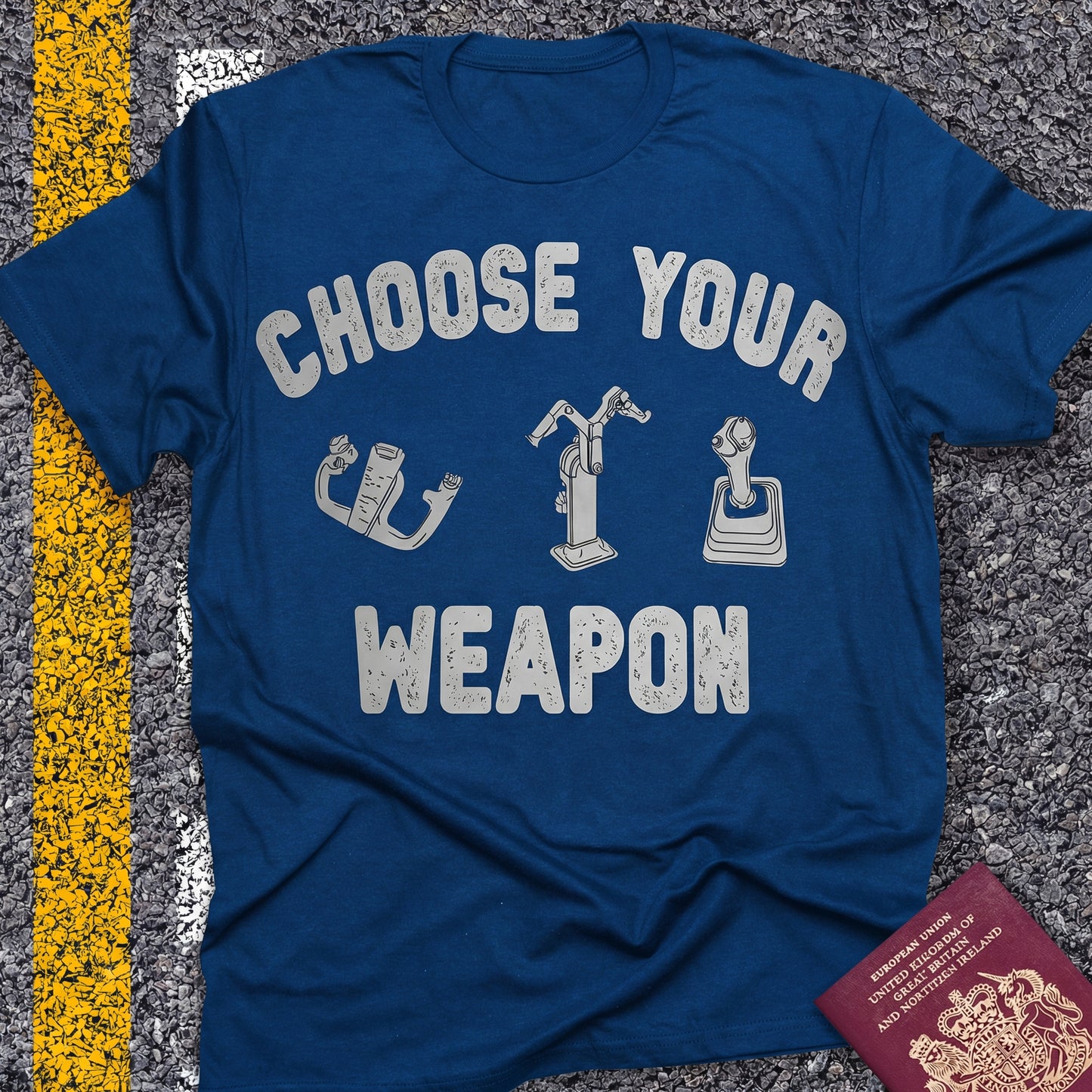 Choose Your Weapon - to fly the plane!