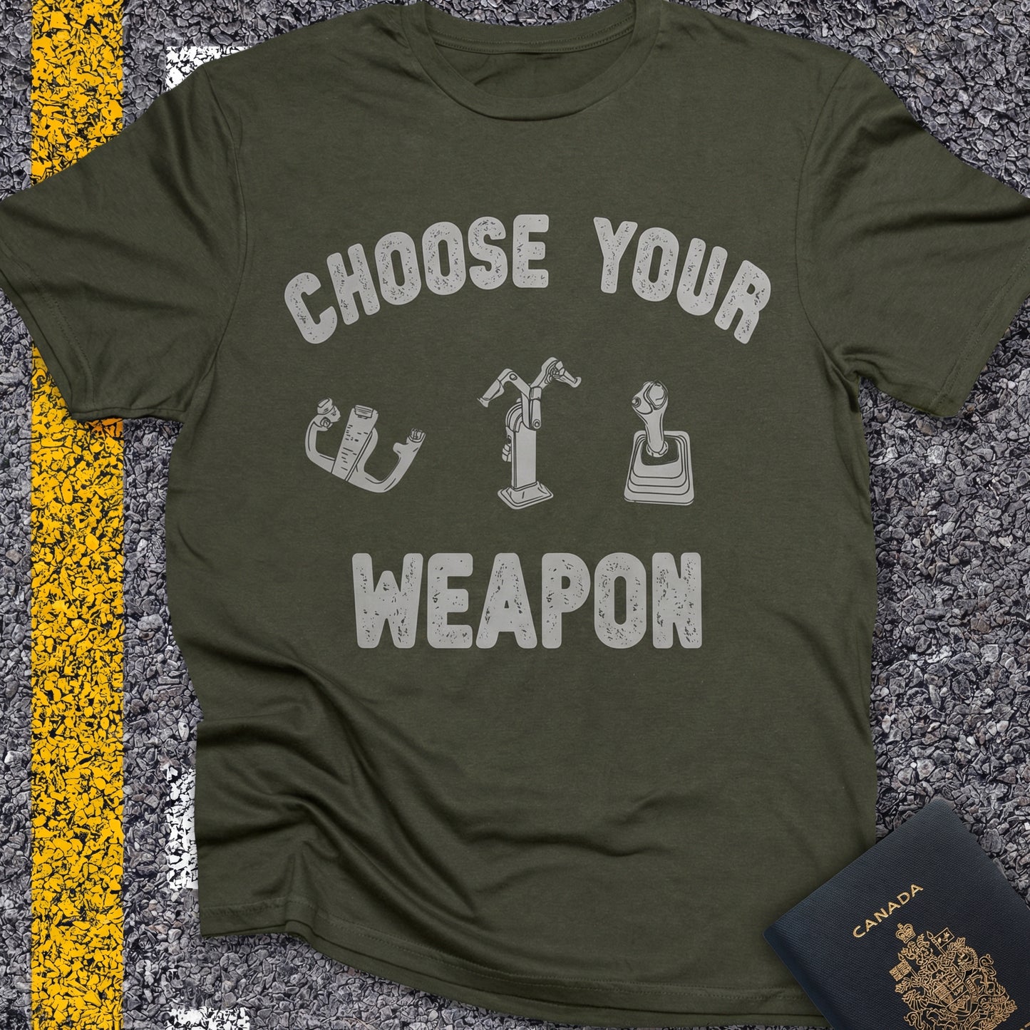 Choose Your Weapon - to fly the plane!