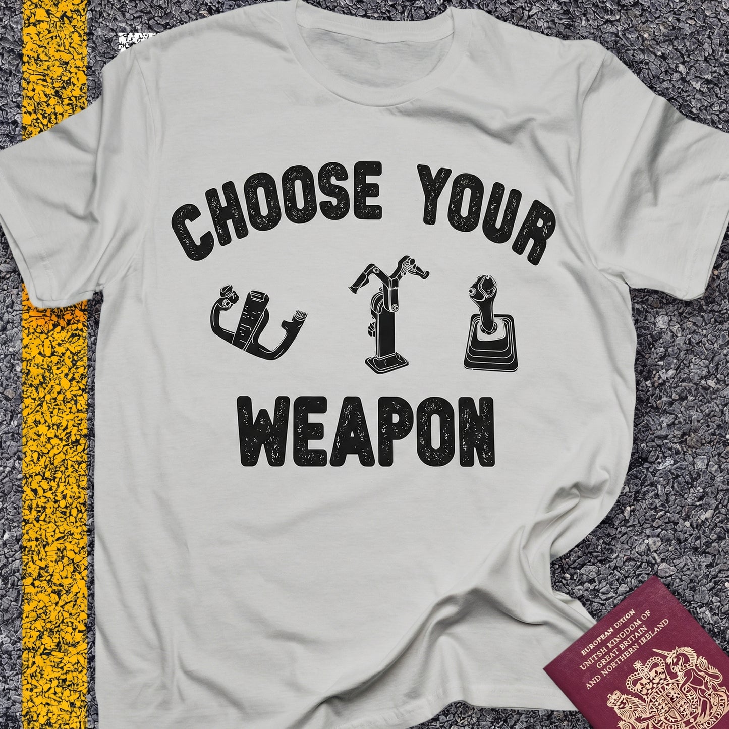 Choose Your Weapon - to fly the plane!