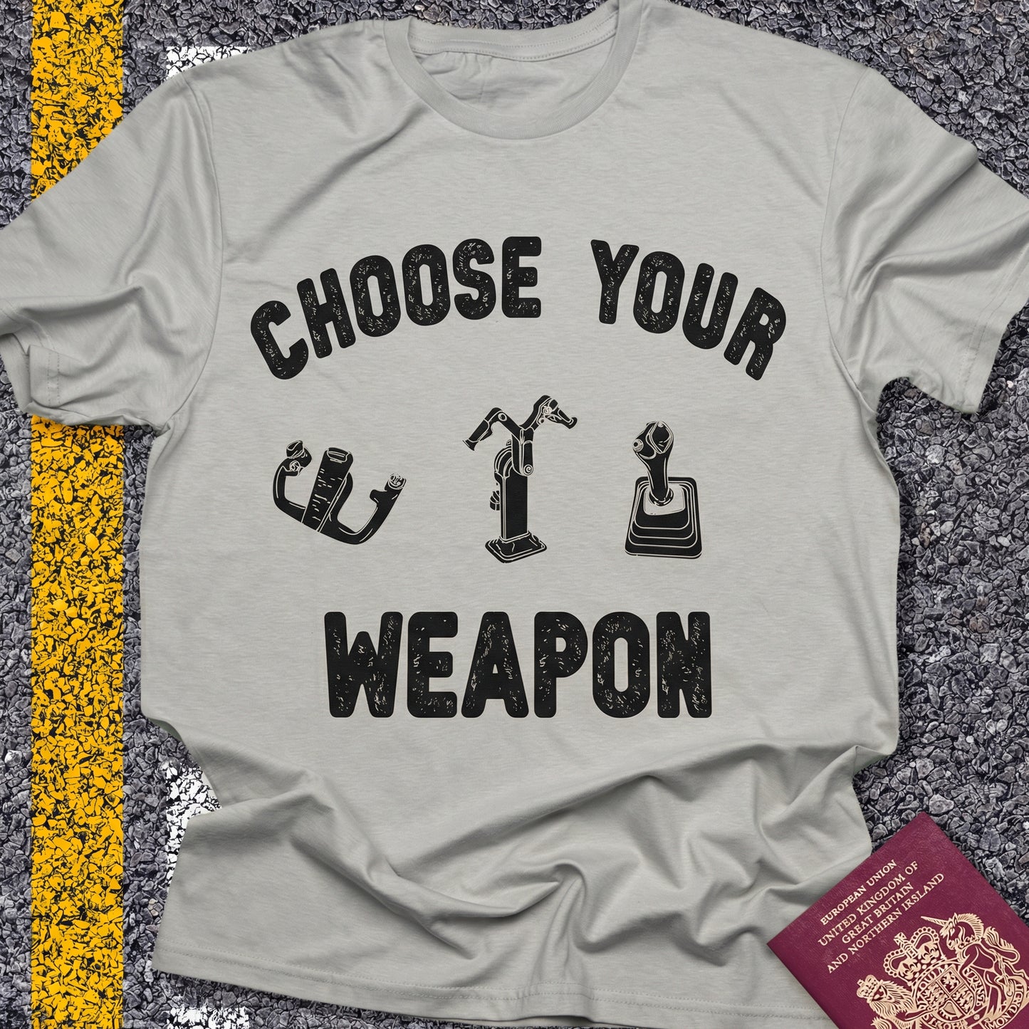 Choose Your Weapon - to fly the plane!