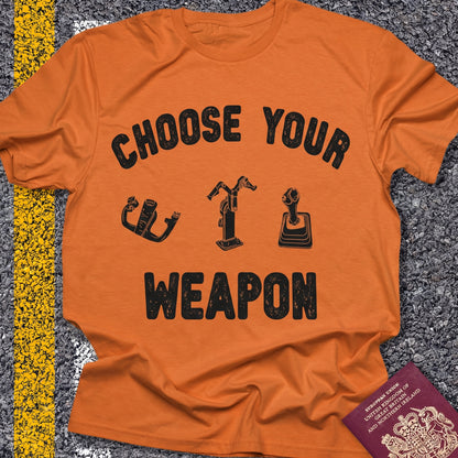 Choose Your Weapon - to fly the plane!