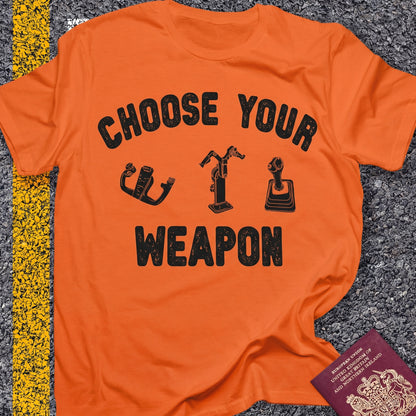 Choose Your Weapon - to fly the plane!