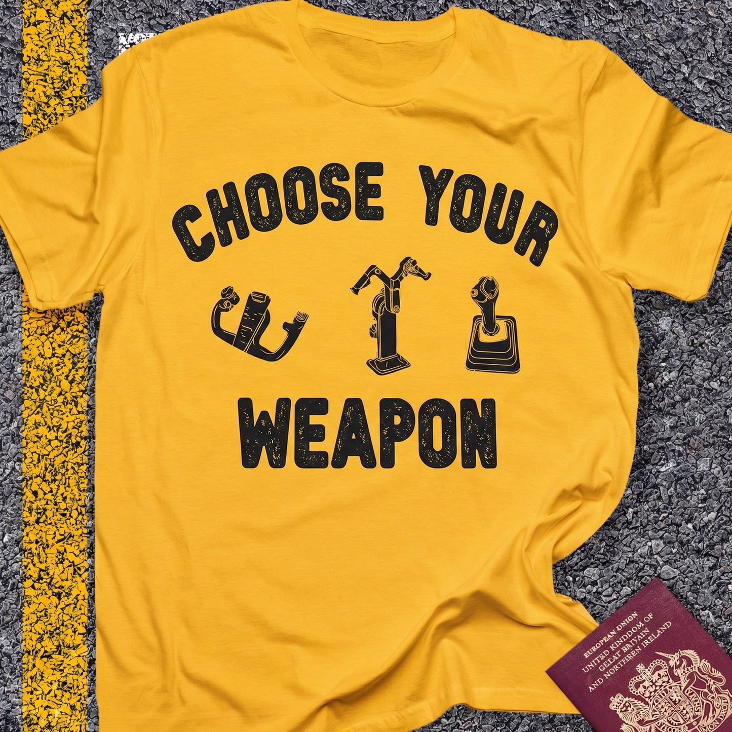 Choose Your Weapon - to fly the plane!