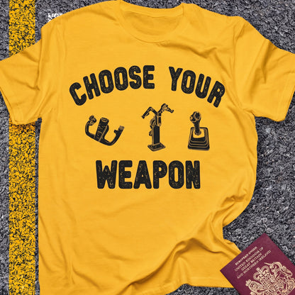 Choose Your Weapon - to fly the plane!