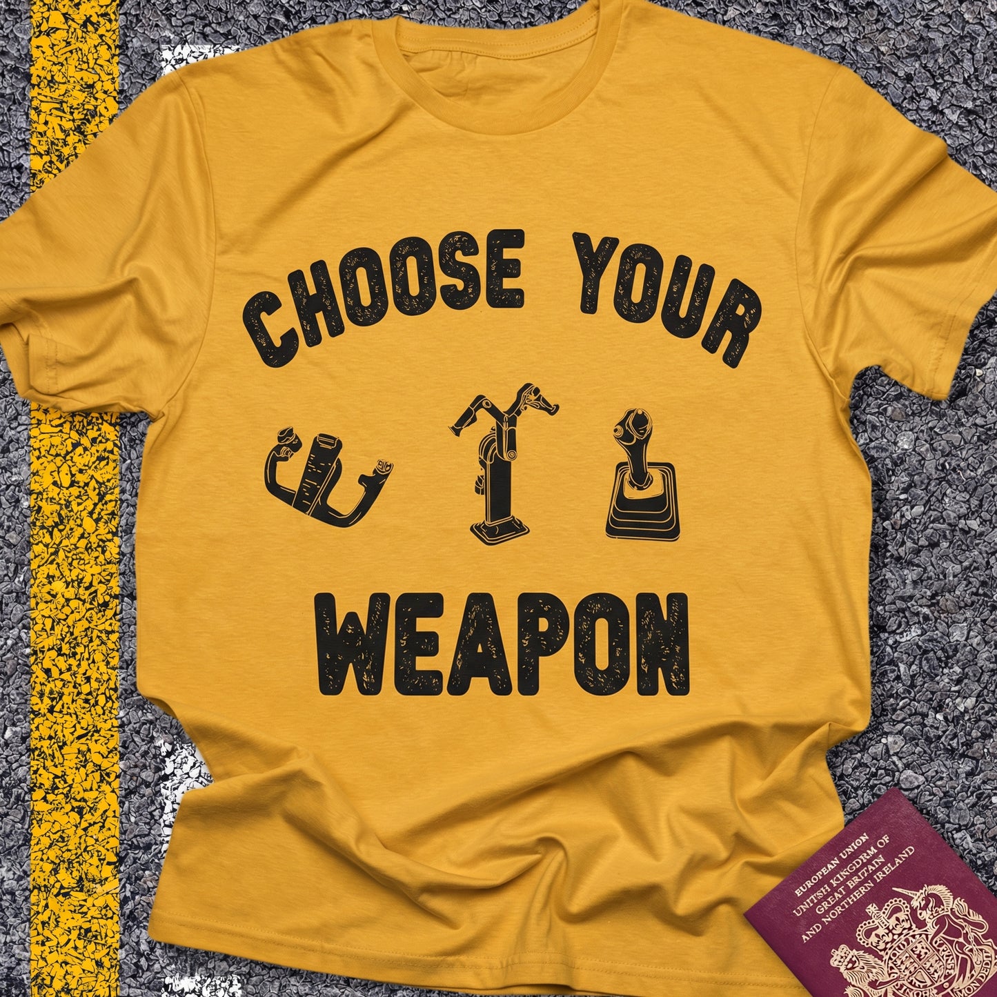 Choose Your Weapon - to fly the plane!