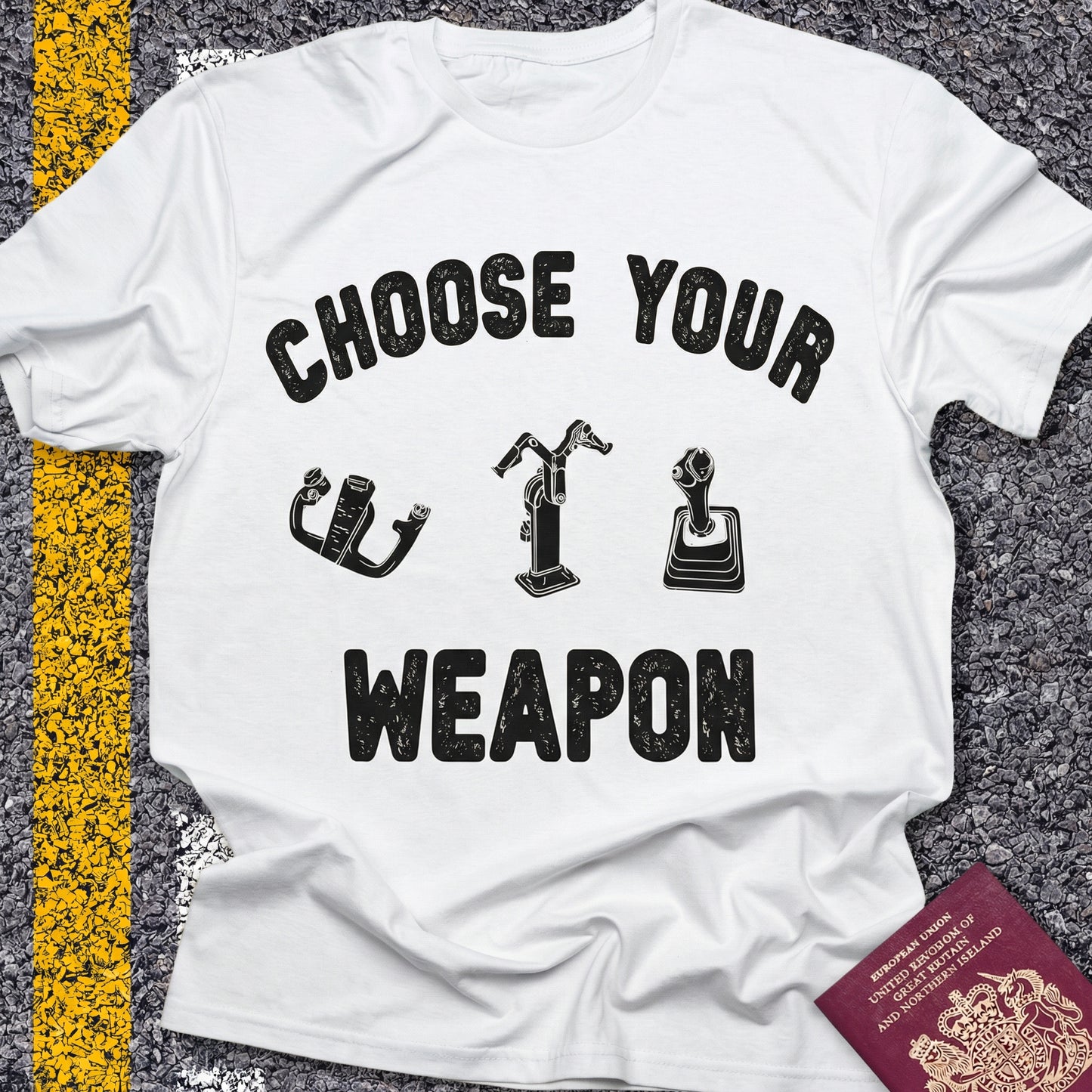 Choose Your Weapon - to fly the plane!