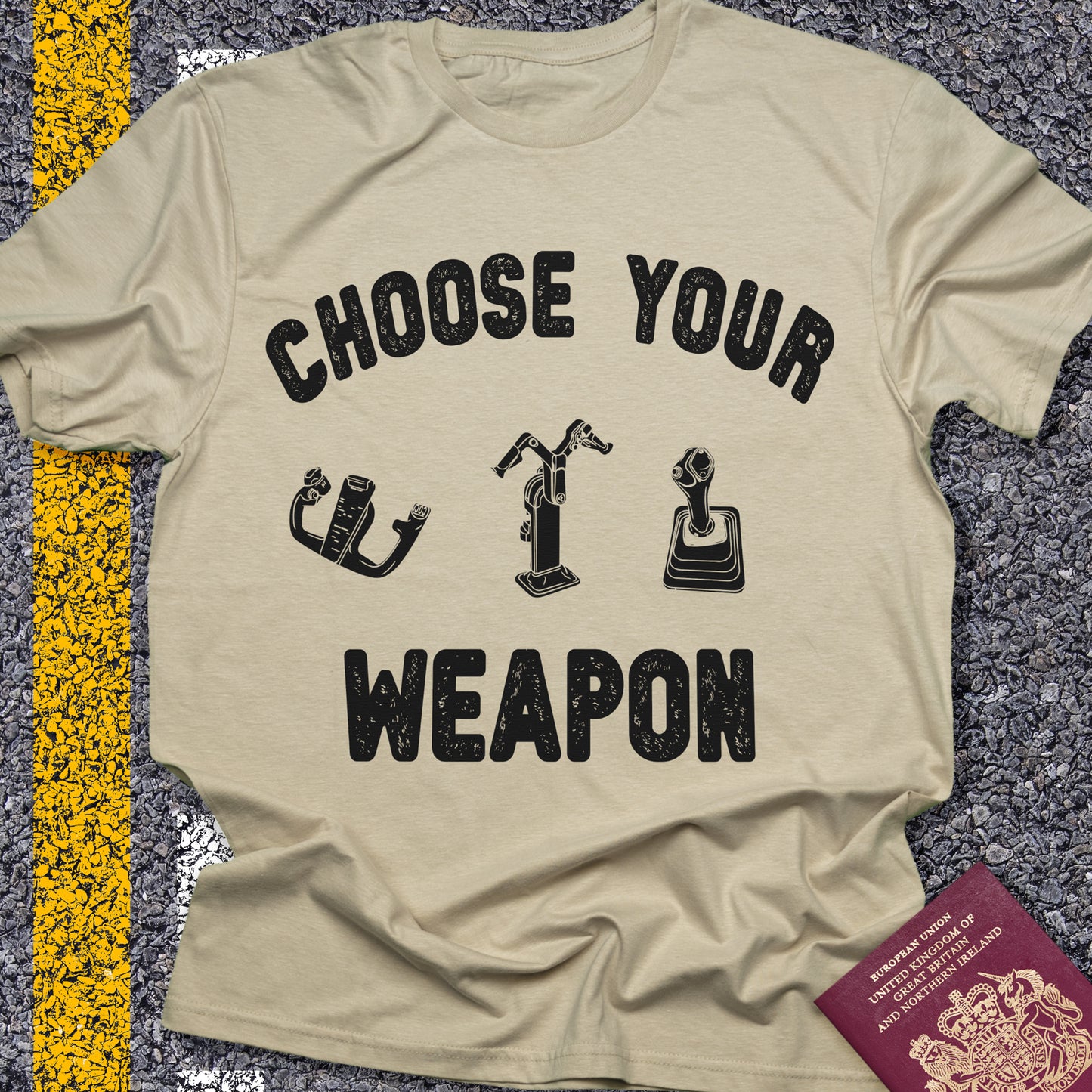 Choose Your Weapon - to fly the plane!