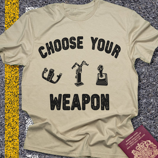 Choose Your Weapon - to fly the plane!